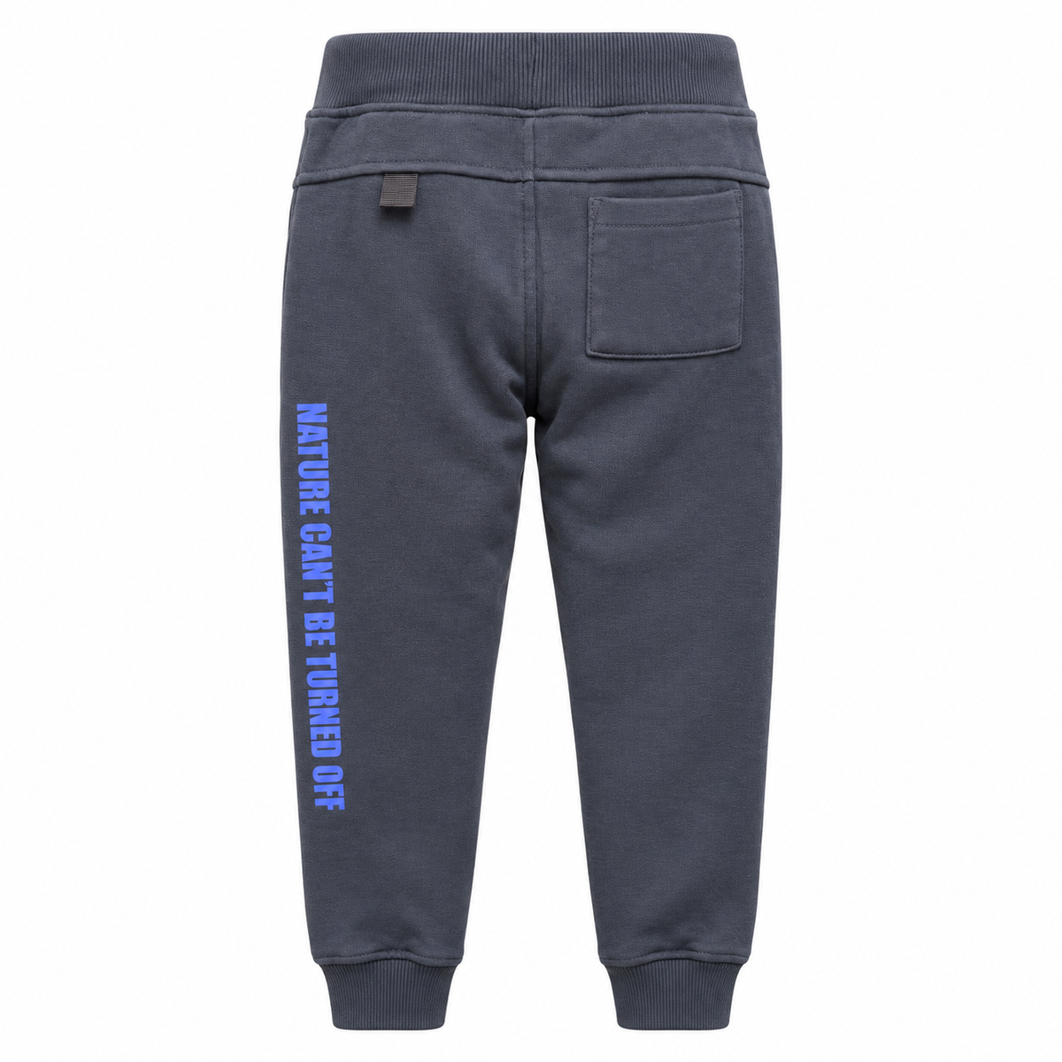 ai-riders - cotton fleece brushed blue